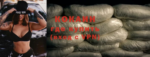 прущий лед Богданович