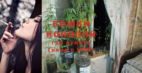 прущий лед Богданович