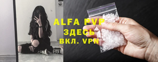 прущий лед Богданович