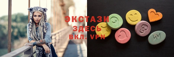 крисы Богородицк