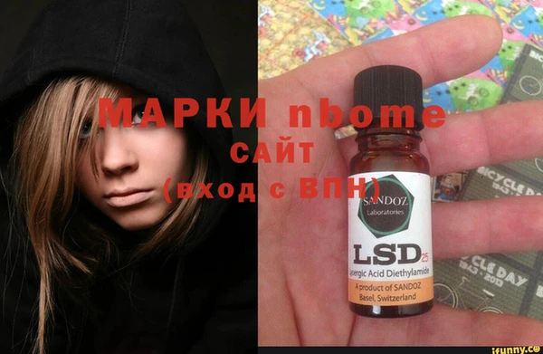 прущий лед Богданович