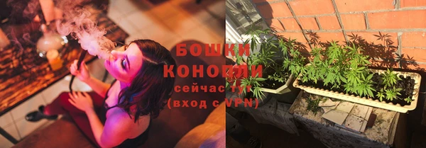 крисы Богородицк