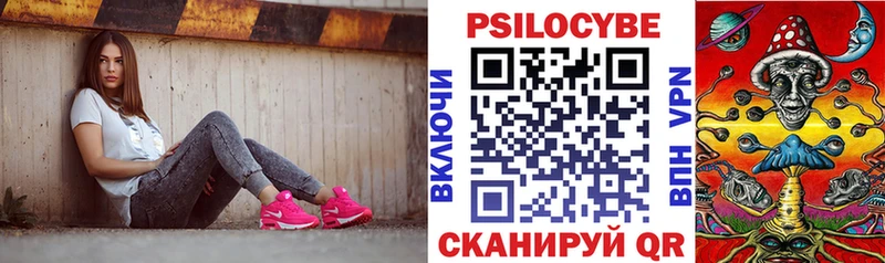 Купить закладки  Петропавловск-Камчатский  Псилоцибиновые грибы мухоморы 